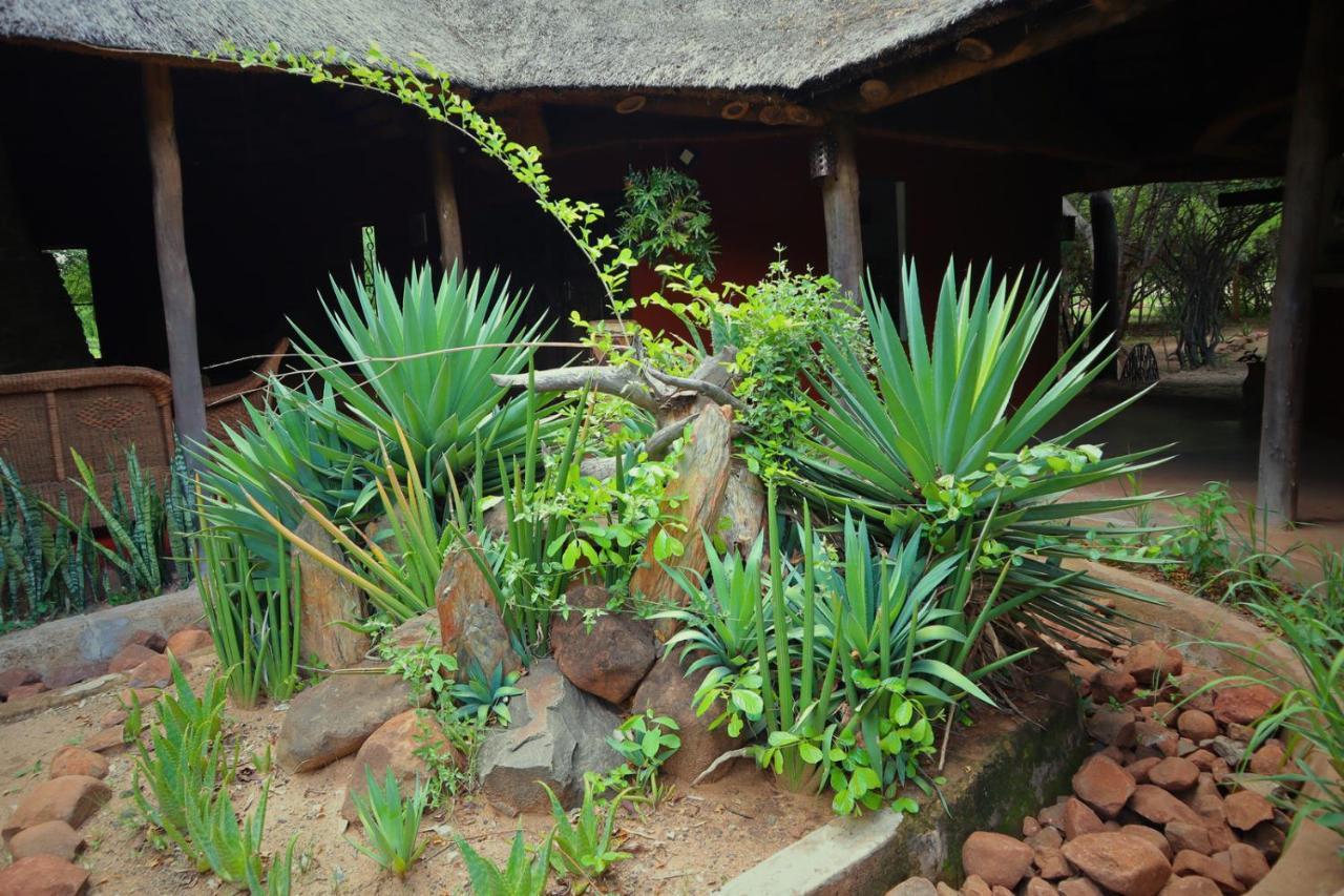 Munga Eco-Lodge Лівінґстон Екстер'єр фото