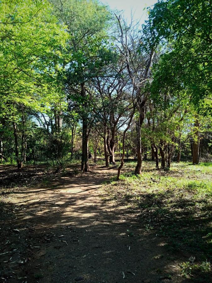 Munga Eco-Lodge Лівінґстон Екстер'єр фото
