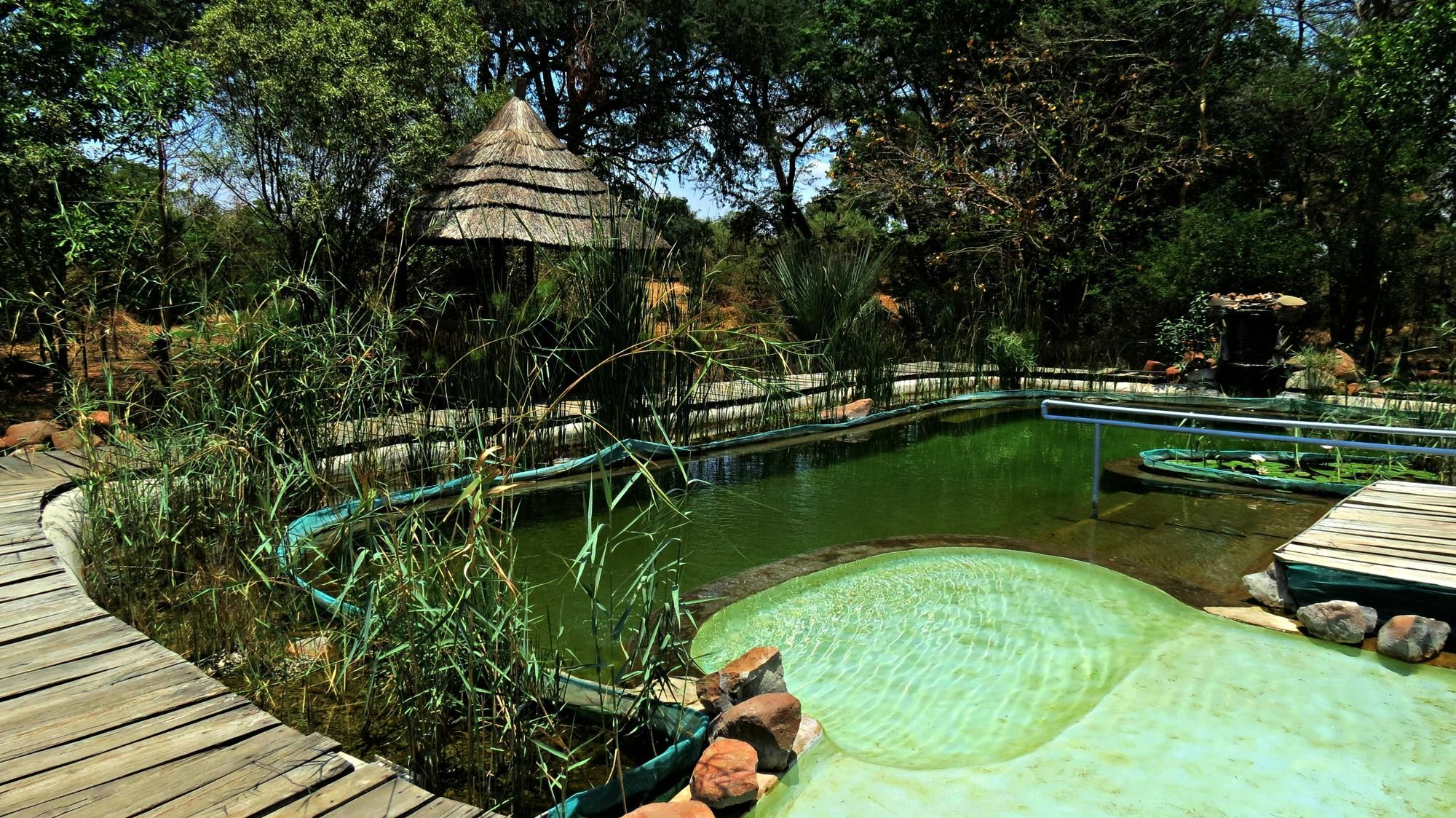 Munga Eco-Lodge Лівінґстон Екстер'єр фото